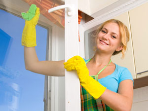 Tips for cleaning windows like a pro